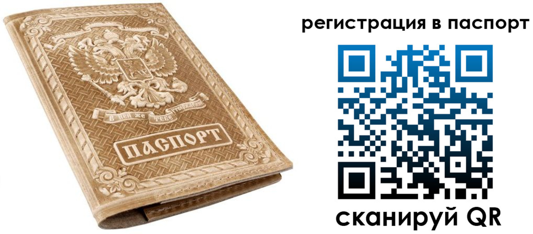 прописка в Ельне
